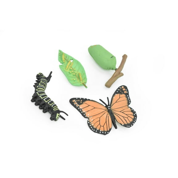 Butterfly, Monarch, Learn the Butterfly Life Cycle, Very Nice Plastic Figure, Model, Realistic Replica, Educational, Figurine, Animal, Life Like, 4 Stages, 3" CH03 B231