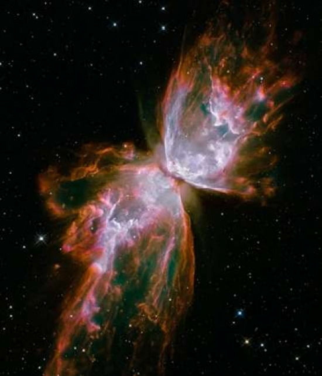 Butterfly Nebula Canvas Art - NASA (24 x 24)