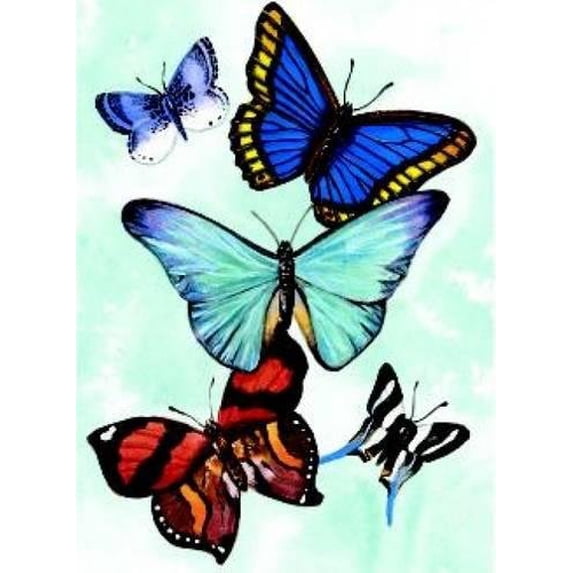 Pre-Owned Butterfly Notebook (Paperback) 0486413012 9780486413013