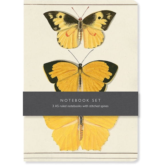 Butterfly Notebook Set : 3 A5 ruled notebooks with stitched spines (Paperback)