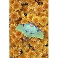 thumbnail image 1 of Butterfly On Flowers Poster Print by Natural Selection Jeff Lepore - 24 x 36 - Large, 1 of 1