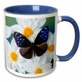 thumbnail image 1 of 3drose, Butterfly on Flowers, Striped Blue Crow Butterfly - Us48 Dgu0552 - Darrell Gulin, 11oz Two-tone Blue Mug, 1 of 6