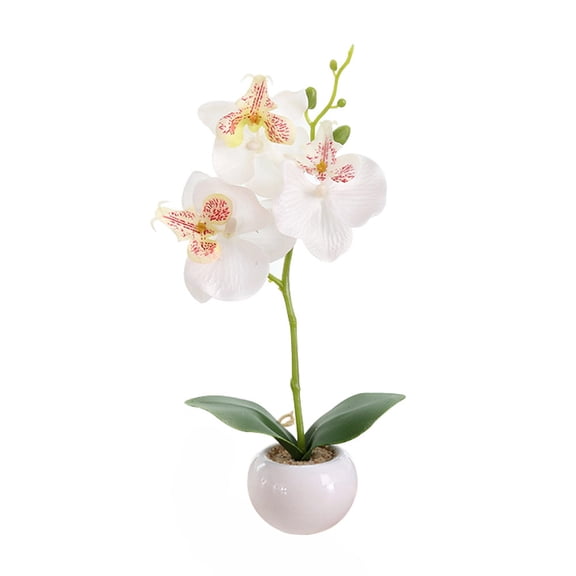 Butterfly Orchid Bonsai Plant, Artificial Silk Orchid in Ceramic Pot, Small Desktop Decor for Home Office, Elegant Fake Plant for Wedding Table Centerpiece
