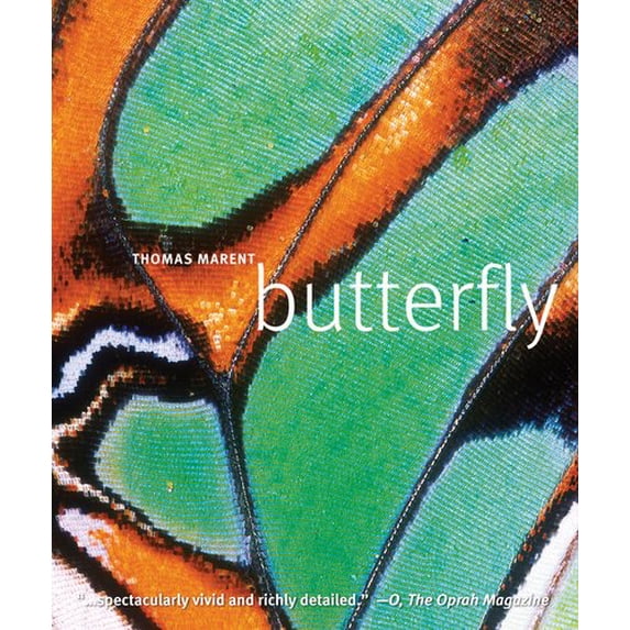 Pre-Owned Butterfly (Paperback) 0756667291 9780756667290