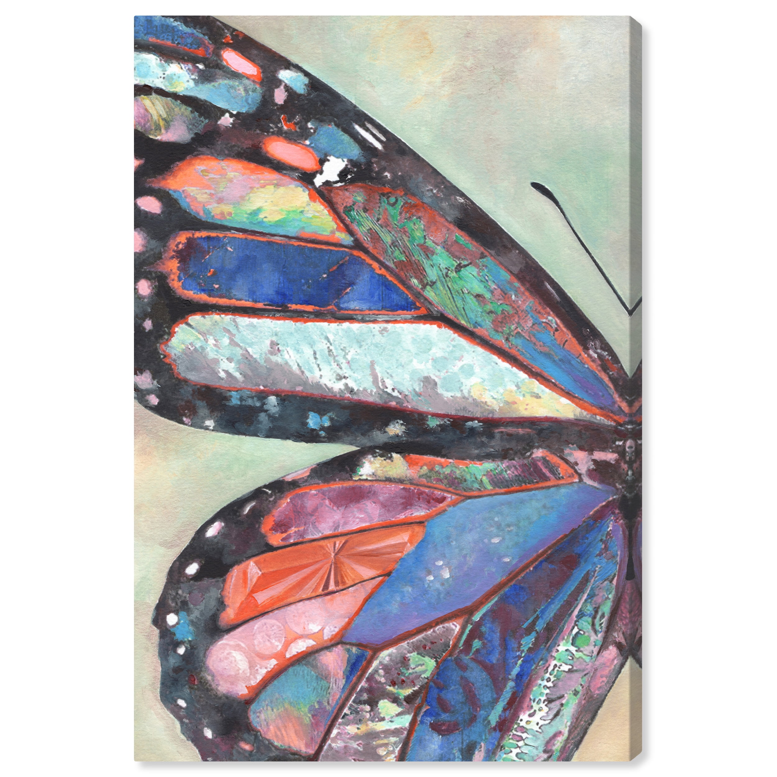 Colorful Butterfly Wing 16" x 24" Wrapped Canvas Wall Art