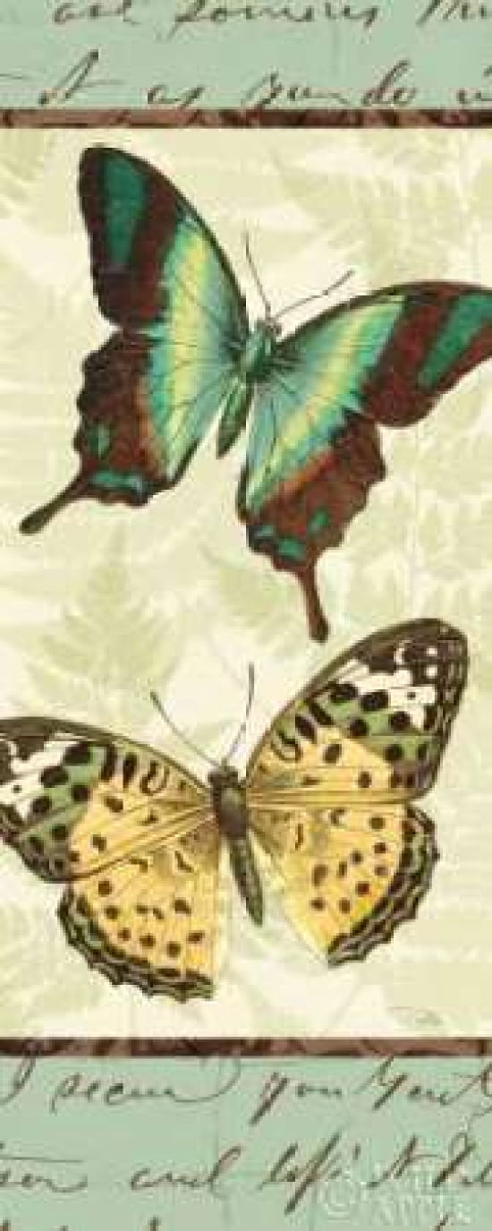 Butterfly Patchwork I Canvas Art - Pela Studio (10 x 20)