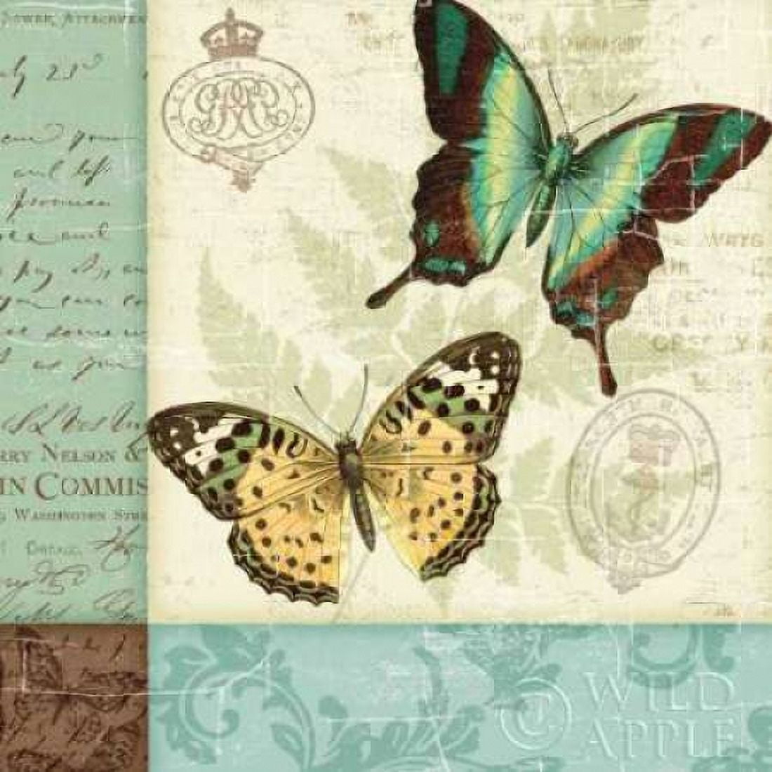 Butterfly Patchwork I Canvas Art - Pela Studio (24 x 24)