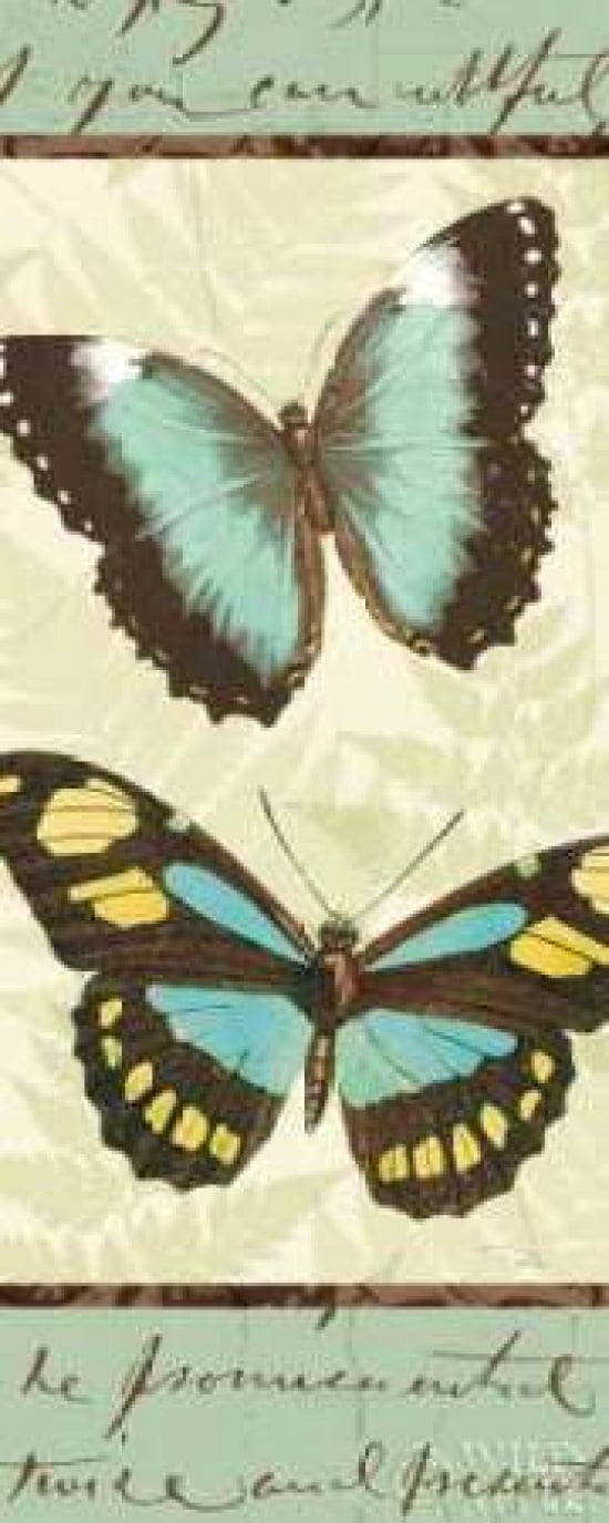 Butterfly Patchwork II Canvas Art - Pela Studio (24 x 48)
