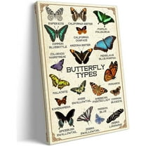 Butterfly Poster Framed Canvas Print Types of Butterflies Wall Art Vintage Educational Wall Decor for Living Room 12x18 inches
