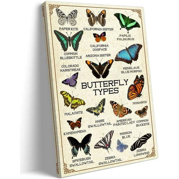 Butterfly Poster Framed Canvas Print Types of Butterflies Wall Art Vintage Educational Wall Decor for Living Room 12x18 inches