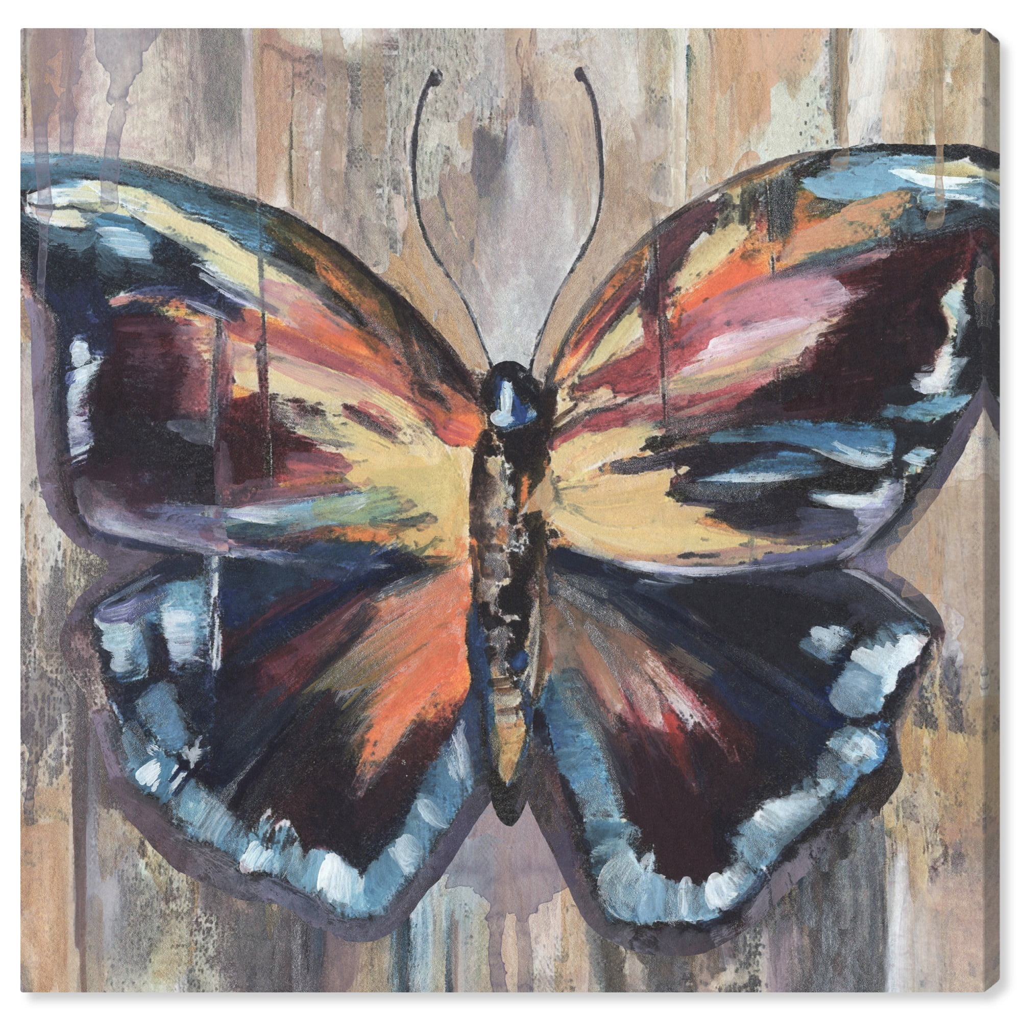 Butterfly S Beauty Canvas Butterfly Art Prints by Art Remedy, Gallery