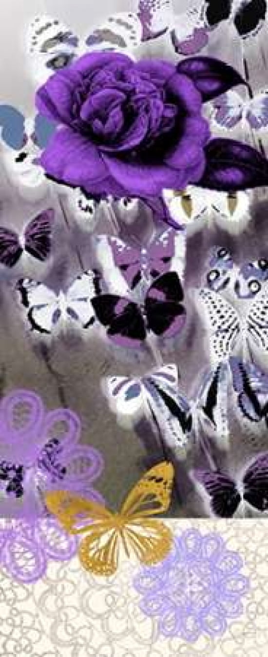Butterfly Showers 2 Canvas Art - Evangeline Taylor (10 x 20)