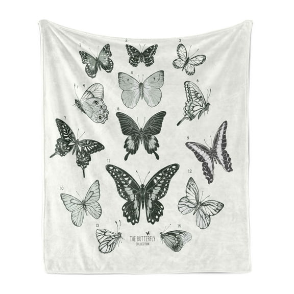 Butterfly Soft Flannel Fleece Blanket, Spring Arrangement of Hand Drawn Butterflies Modern Realistic Artwork, Cozy Plush for Indoor and Outdoor Use, 50" x 60", Black Grey and White, by Ambesonne