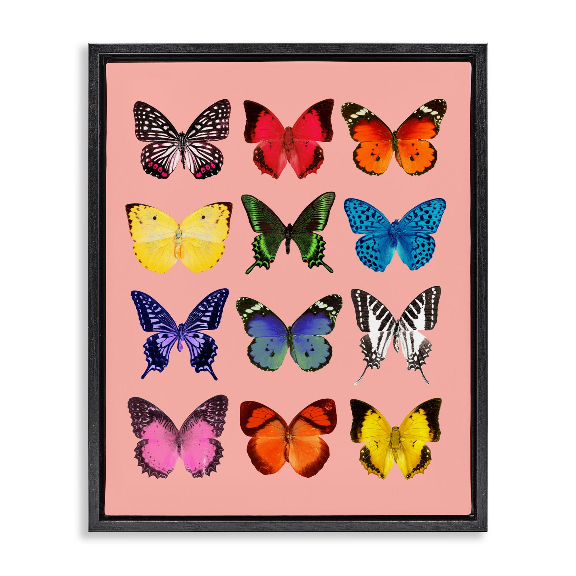Butterfly Species on Pink Black Framed Floater Canvas Wall Art, design by LISH Creative