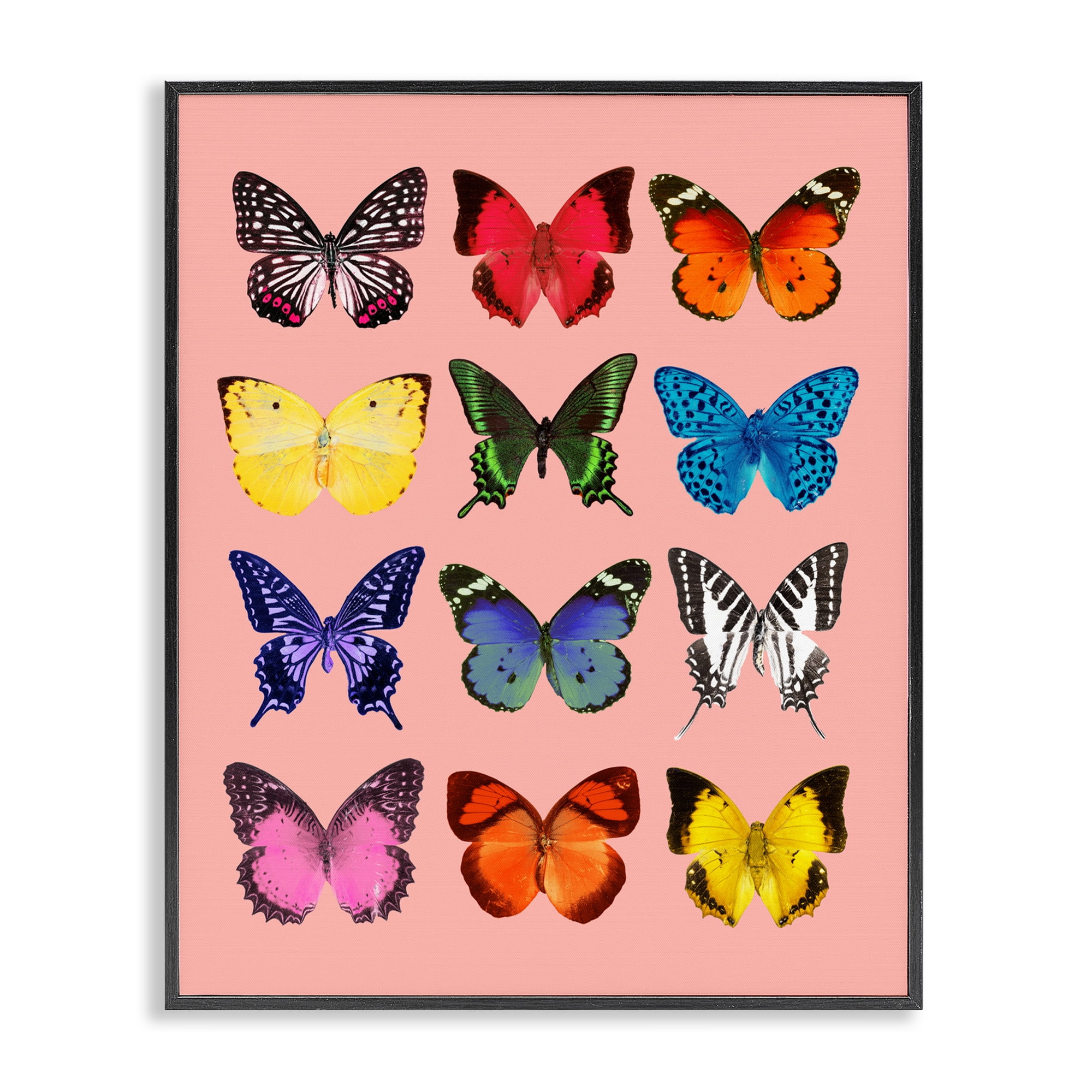 Butterfly Species on Pink Black Framed Giclee Art, design by LISH Creative