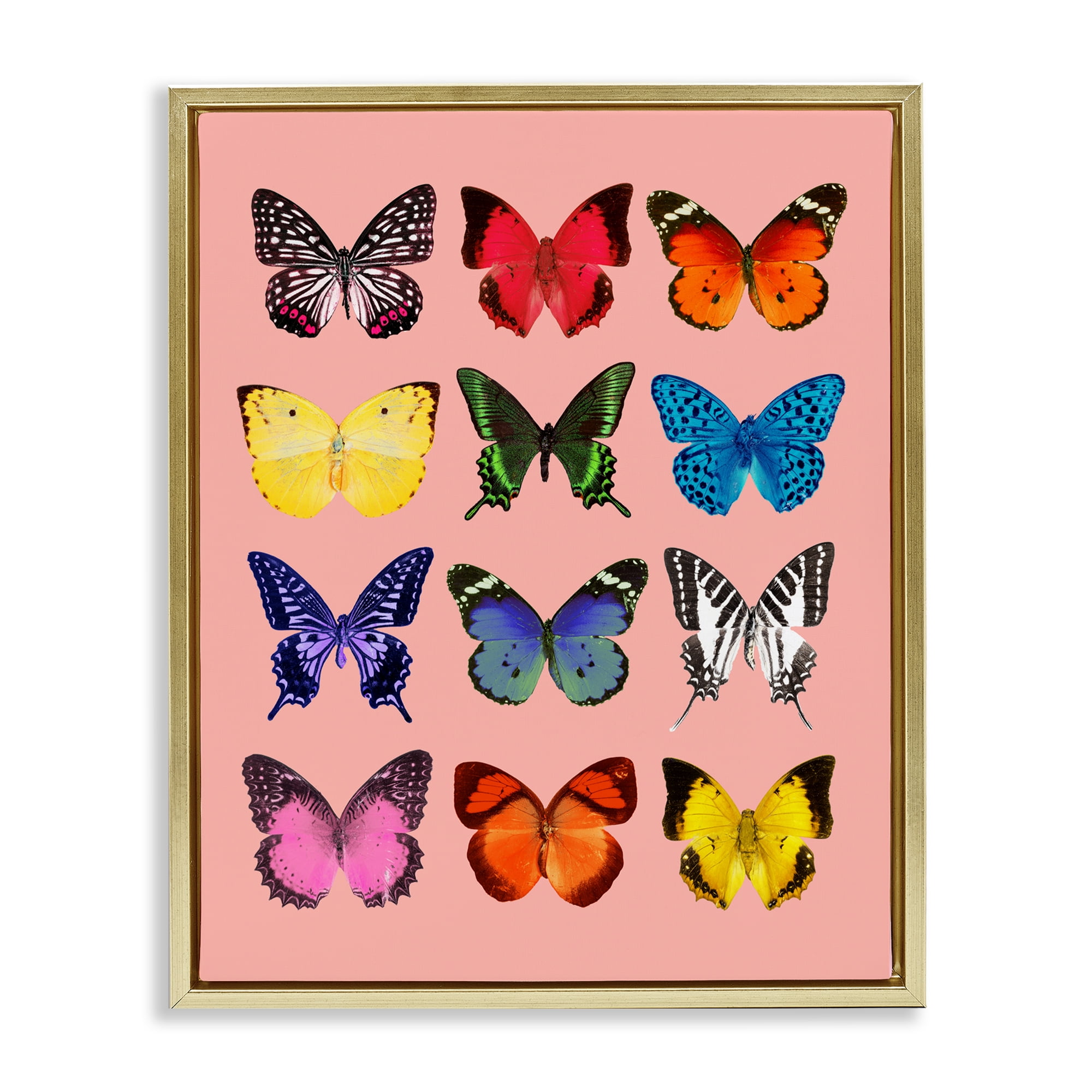 Butterfly Species on Pink Gold Framed Floater Canvas Wall Art, design by LISH Creative