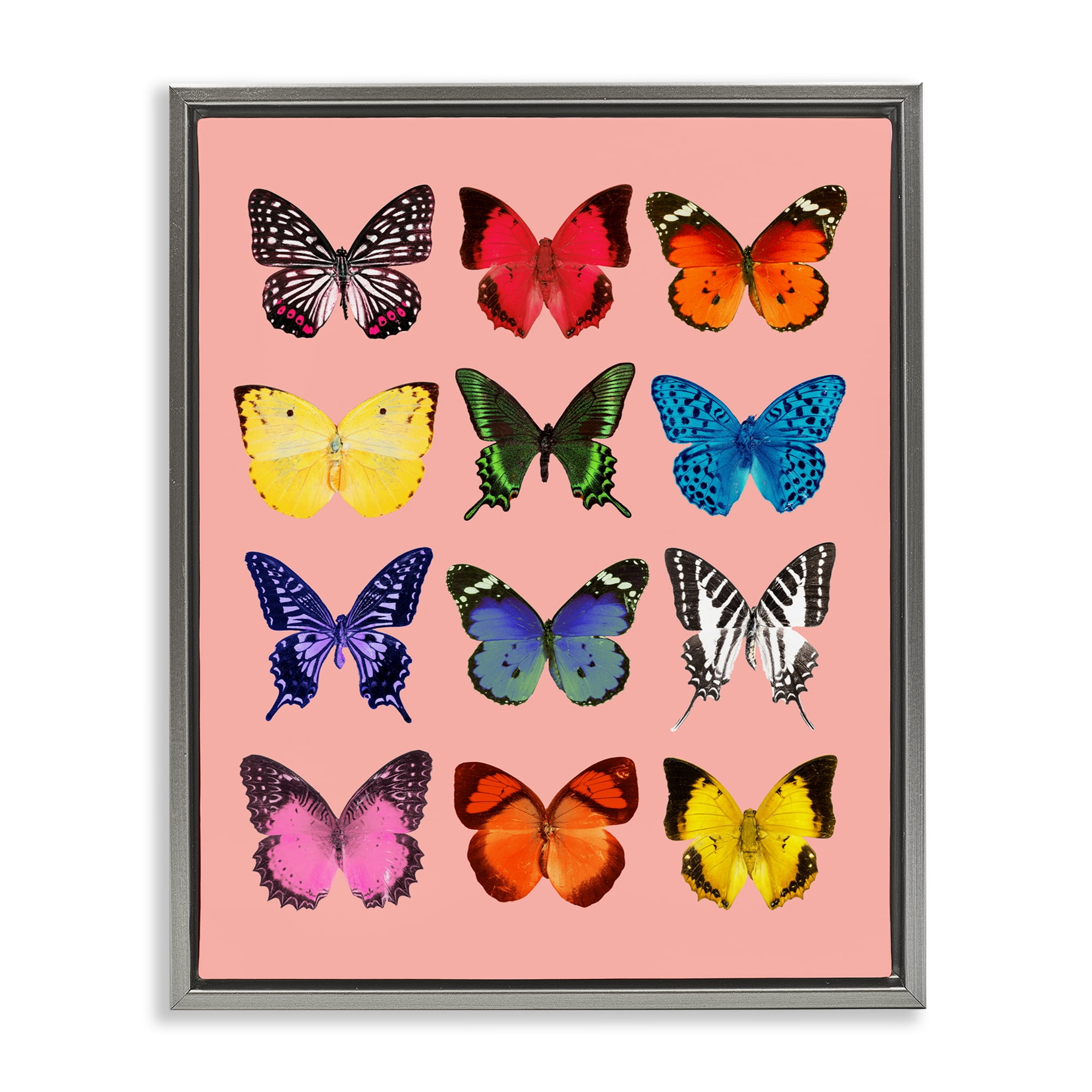 Butterfly Species on Pink Gray Framed Floater Canvas Wall Art, design by LISH Creative