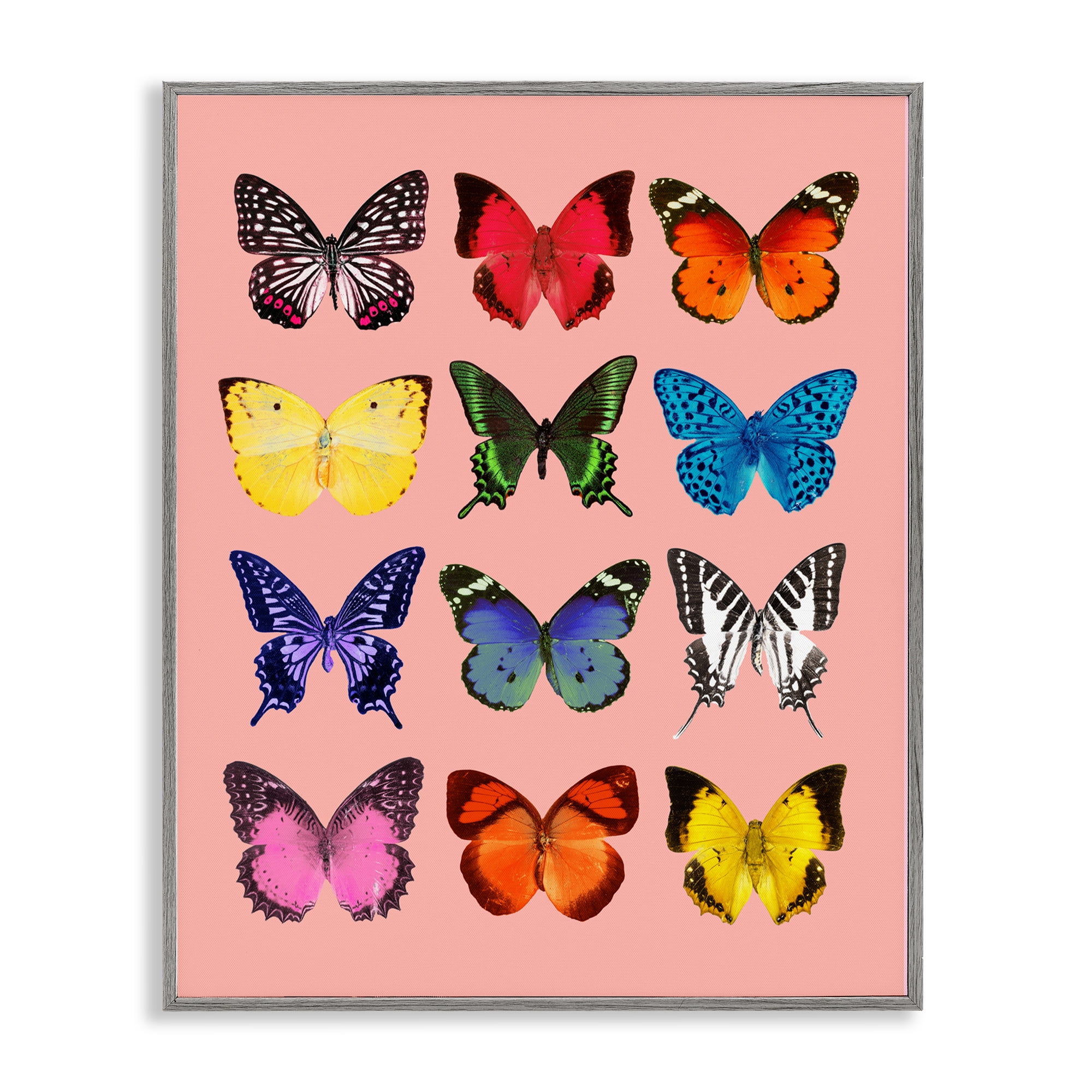 Butterfly Species on Pink Gray Framed Giclee Art, design by LISH Creative