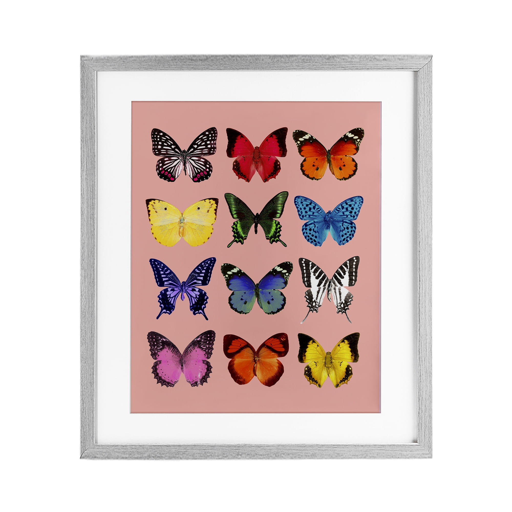 Butterfly Species on Pink Gray Framed Print Under Glass, design by LISH Creative