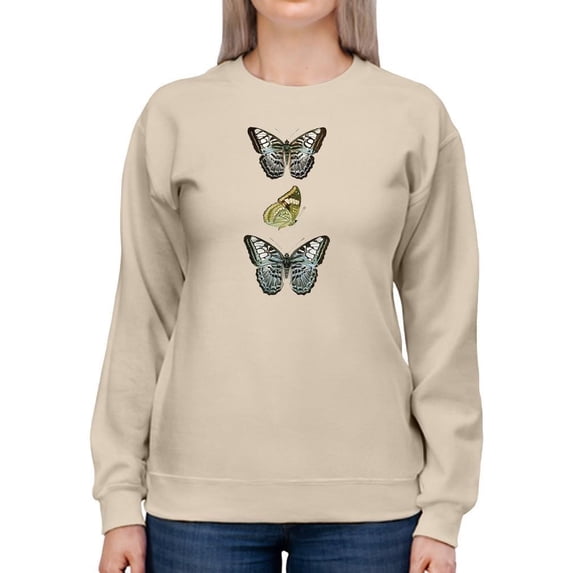 Butterfly Specimen I Sweatshirt Women -Vision Studio Designs, Female 3X-Large