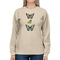 thumbnail image 1 of Butterfly Specimen I Sweatshirt Women -Vision Studio Designs, Female 4X-Large, 1 of 4