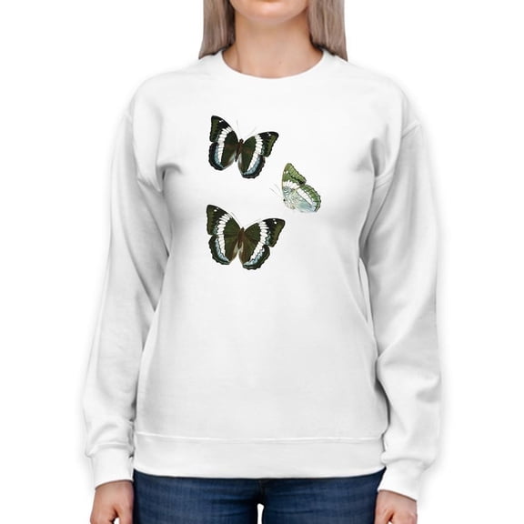 Butterfly Specimen Viii Sweatshirt Women -Vision Studio Designs, Female x-Large