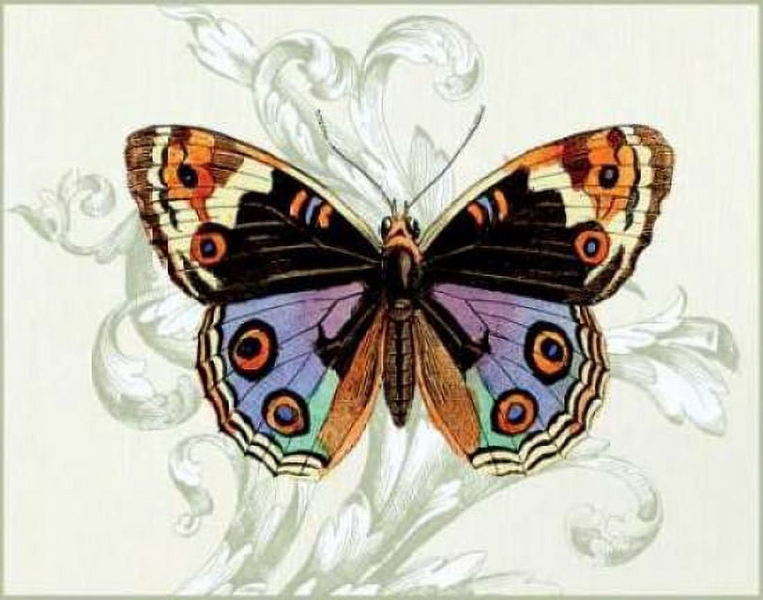 Butterfly Theme I Canvas Art - Susan Davies (22 x 28)