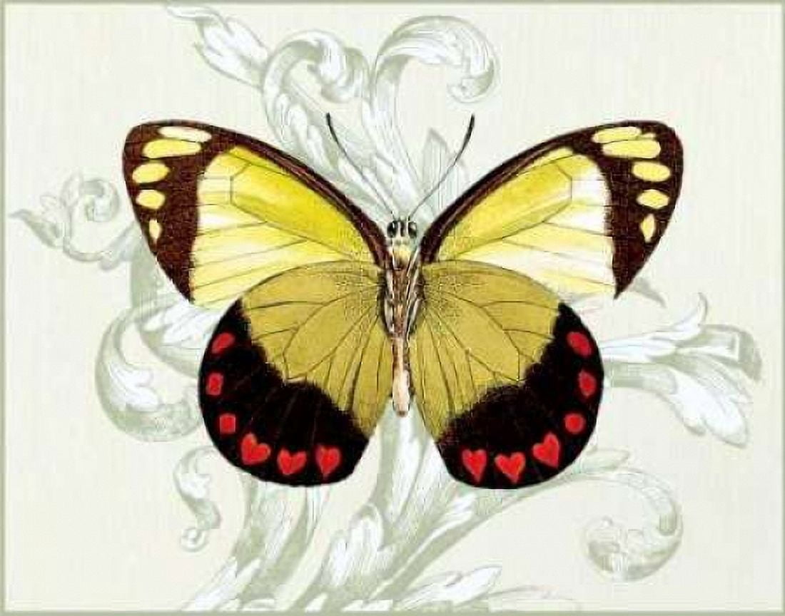Butterfly Theme II Canvas Art - Susan Davies (22 x 28)