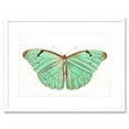 thumbnail image 1 of Butterfly Turquoise Art Print Framed Poster Wall Decor 9x7 inch, 1 of 5