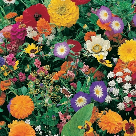 Garden Fragrance Cut Flower Roll Out Seed Mat