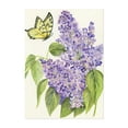 thumbnail image 1 of Butterfly and Lilac - Glen Rock Pennsylvania Drawing Floral Botanical Nature Unframed Wall Art Print 24 x 36 inches, 1 of 16