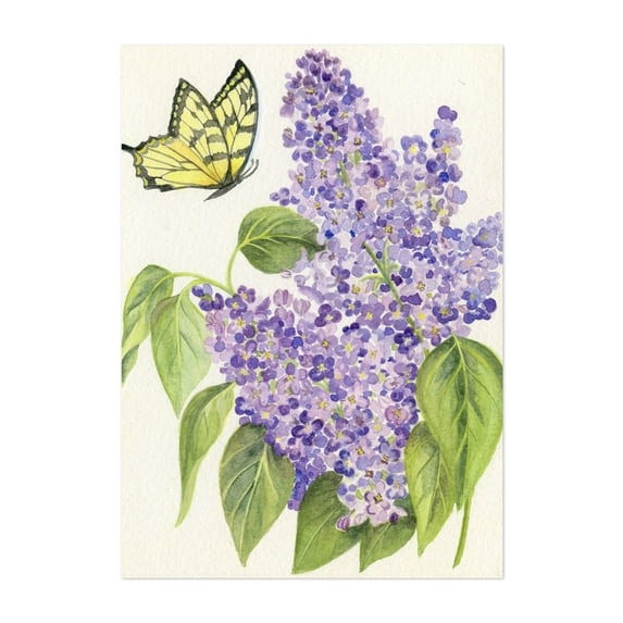 Butterfly and Lilac - Glen Rock Pennsylvania Drawing Floral Butterfly Botanical Nature Watercolor Garden Unframed Wall Art Print 36 x 48 inches