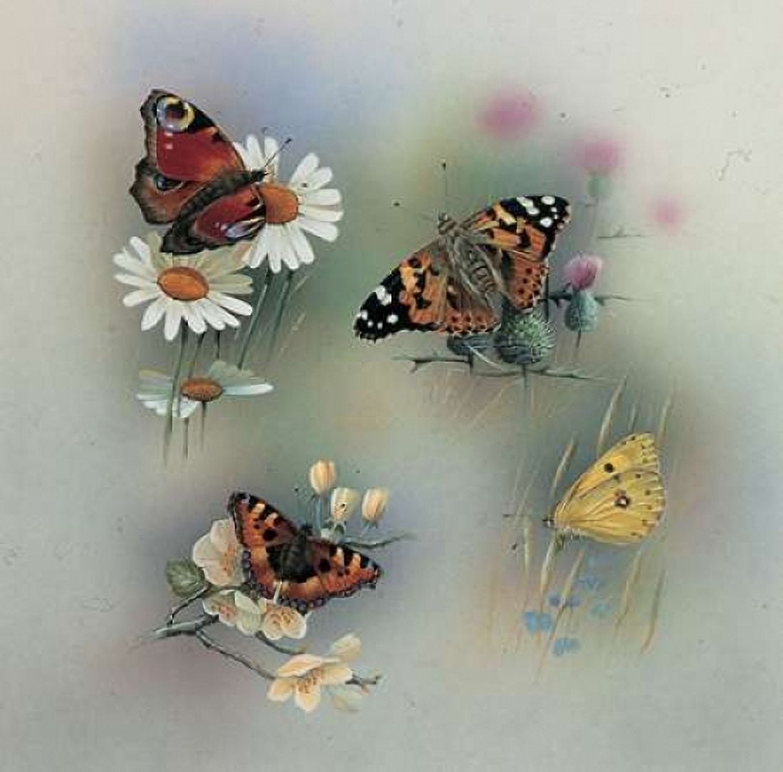 Butterfly composition Canvas Art - Jan Weenink (24 x 24)