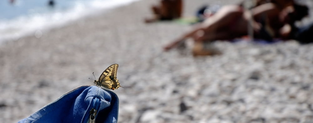 Butterfly on beach bag Cala Luna Beach Cala Gonone Nuoro Sardinia Italy Canvas Art - Panoramic Images (27 x 9)