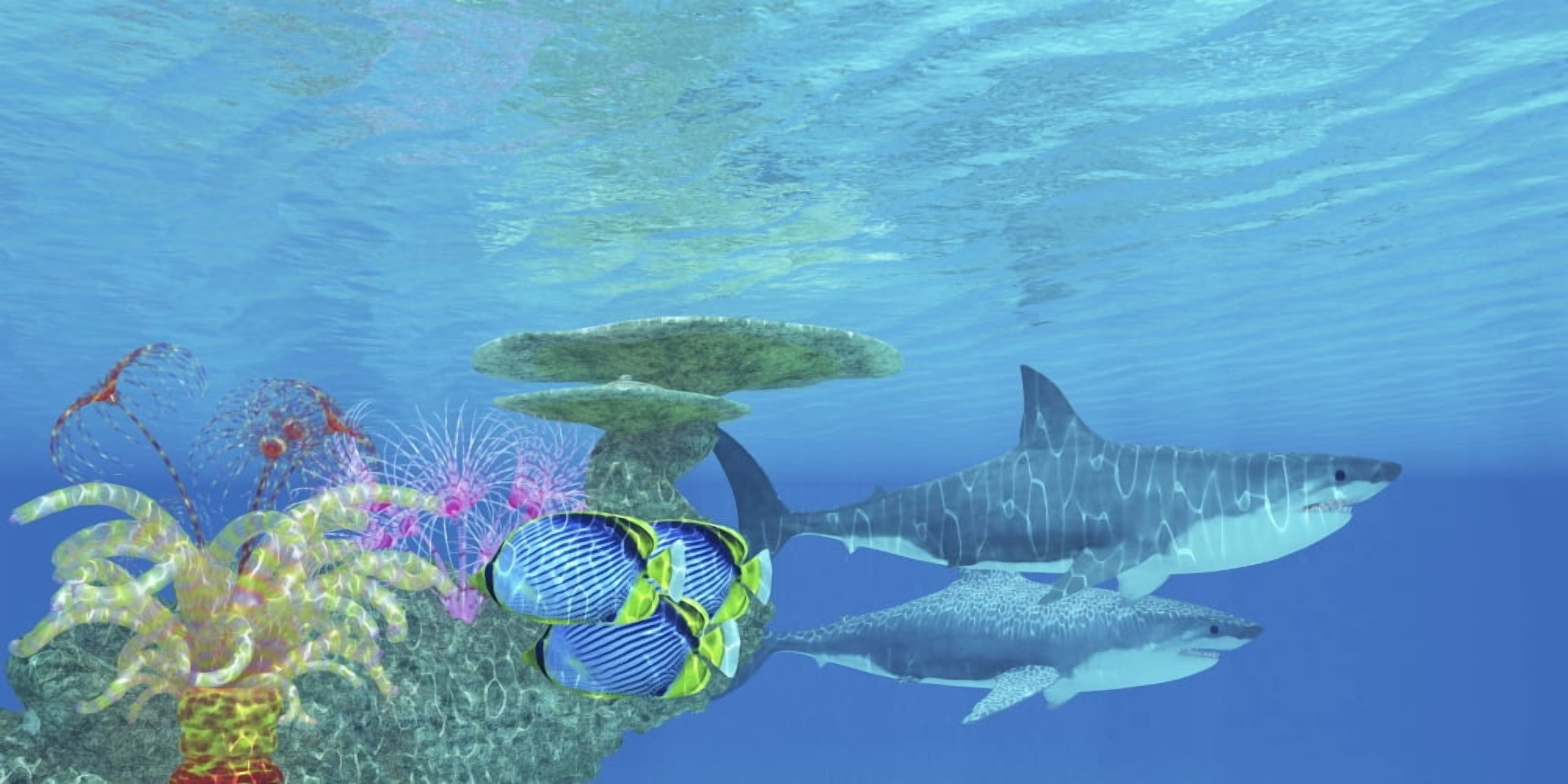 Butterflyfish swim toward the shelter of a reef to hide from two Great White Sharks Canvas Art - Corey FordStocktrek Images (40 x 20)