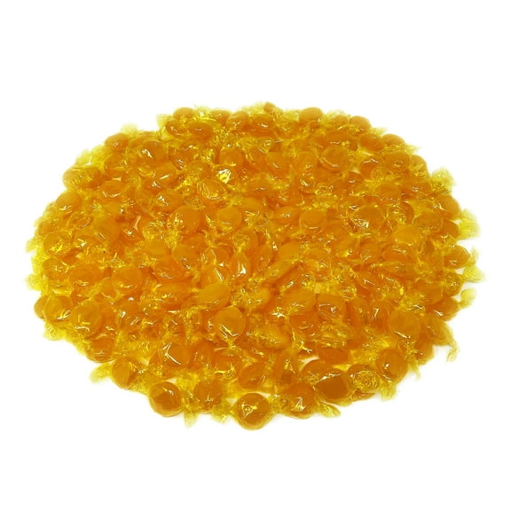 Butterscotch Hard Candy Disks - Old School Classic (48 oz)