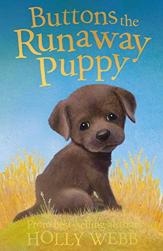 Pre-Owned Buttons the Runaway Puppy. Holly Webb (Paperback) 184715087X 9781847150875