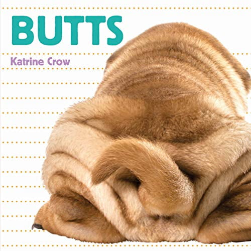 Pre-Owned Butts (Board book) 1486718191 9781486718191