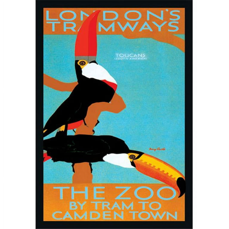 Buy Enlarge 0-587-01490-3P12x18 London Zoo- South American Toucans 
