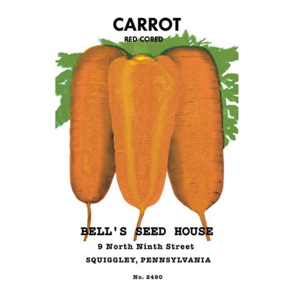 Buy Enlarge 0-587-02586-7P20x30 Carrot- Red Cored- Paper Size P20x30