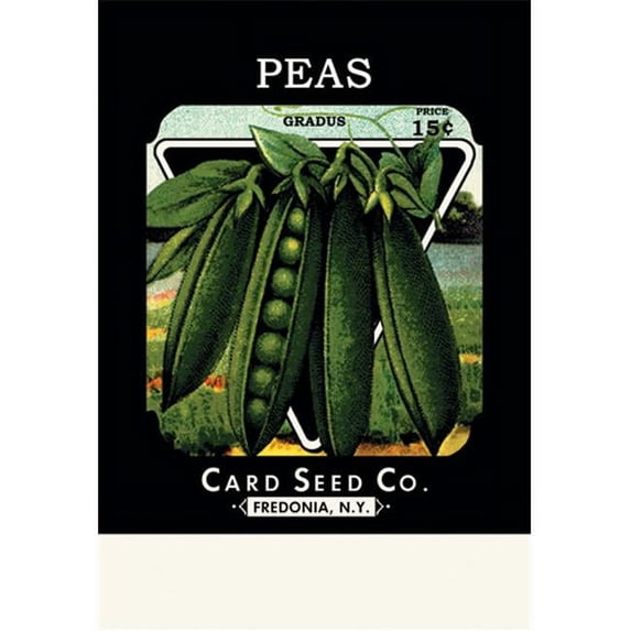 Buy Enlarge 0-587-02588-3P20x30 Peas- Gradus- Paper Size P20x30