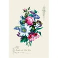 thumbnail image 1 of Buy Enlarge 0-587-04353-9P20x30 Ensemble with Pick Rose- Paper Size P20x30, 1 of 1