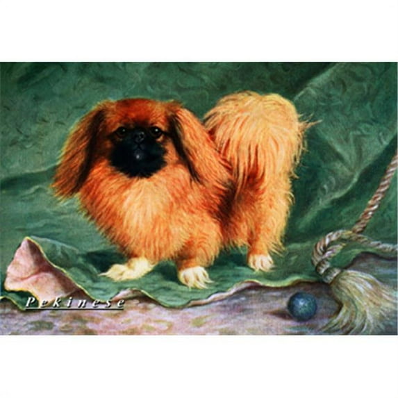 Buy Enlarge 0-587-04393-8P20x30 Pekinese Champion Chu-erh of Alderbourng- Paper Size P20x30