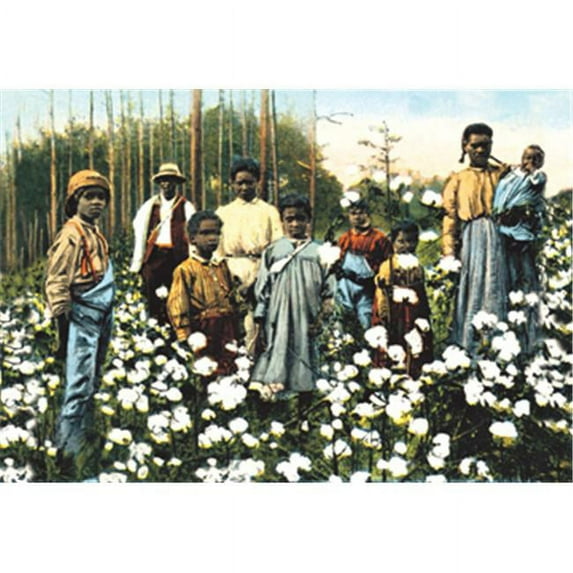 Buy Enlarge 0-587-07461-2P20x30 Portrait of Cotton Field Workers- Paper Size P20x30