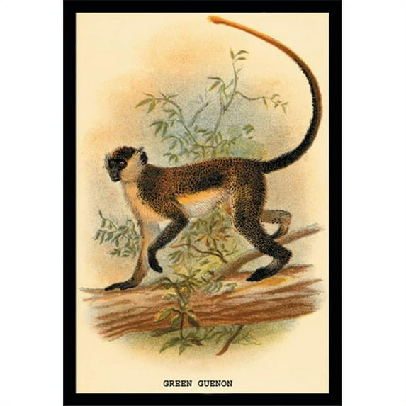 Buy Enlarge 0-587-15160-9P20x30 Green Guenon- Paper Size P20x30