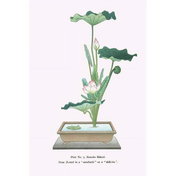 Buy Enlarge 0-587-26576-0P20x30 Hasu - Lotus in Sunabachi- Paper Size P20x30