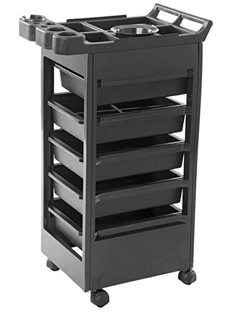 Buy-Rite Professional Salon Trolley Cart – Rolling Hair and Beauty Spa ...