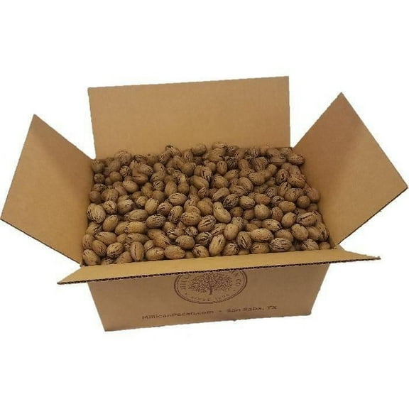Buy Texas * Macaw Parrot Food Grade * In Shell & Cracked Pecans For Sale
