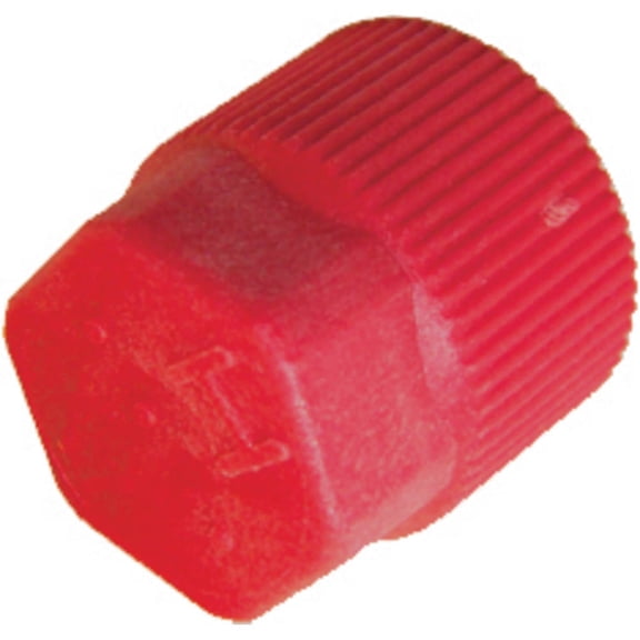 BuyAutoParts A/C Service Valve Cap AO-60020AN