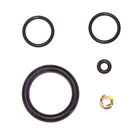 BuyAutoParts Air Suspension O-Ring Kit BB-60010AN